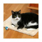 Preview: Karlie FELINE STAR Wende-Kratzteppich - 48 x 31 cm